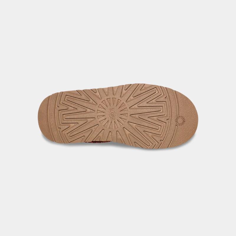 Women's Tazz – תמונה 15